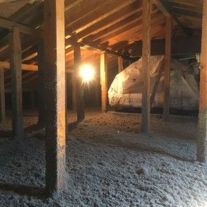 Uzman Bor - Isı, Ses ve Yangın Yalıtımı