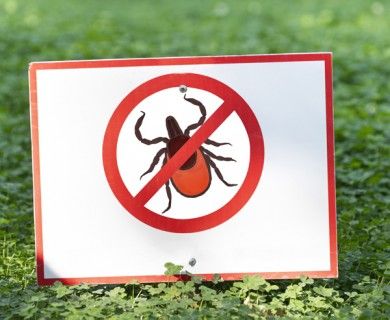 Haşere, Böcek Engelleyici